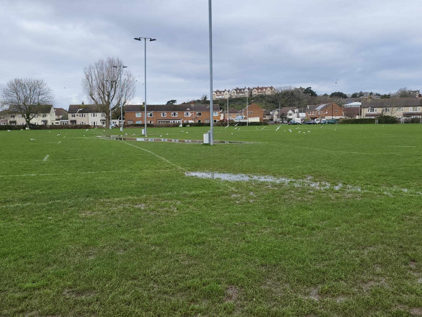 Swamp conditions at The Vale...